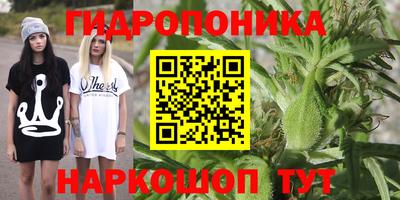 героин Сланцы