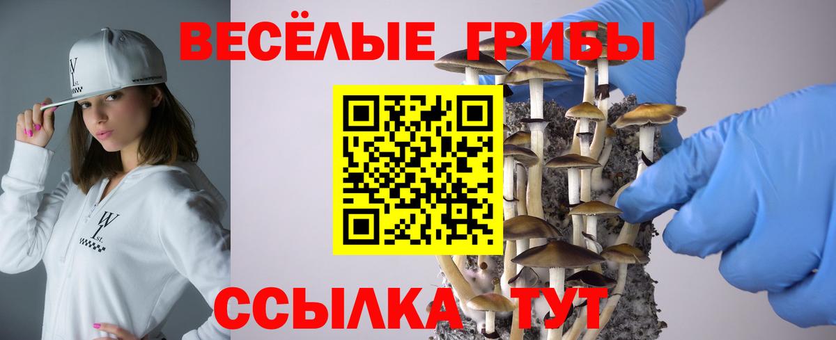 Псилоцибиновые грибы мицелий Псков